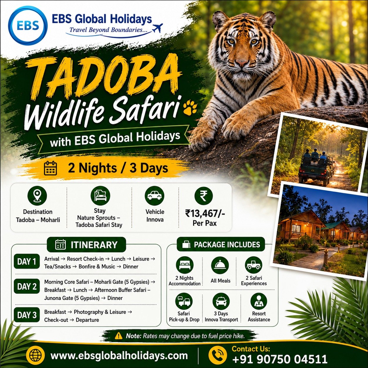 Tadoba Flyer